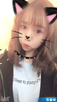 水仙二嫂在线观看,在线观看，揭秘神秘家族的传奇故事