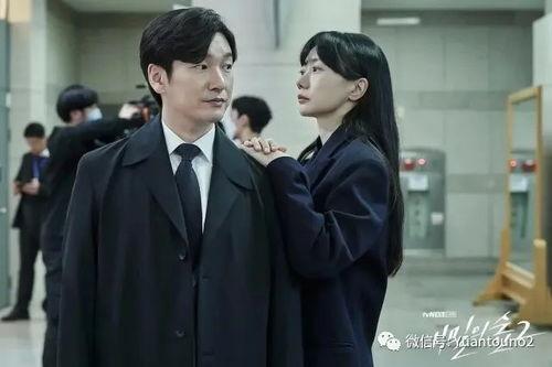 秘密森林韩剧在线观看,揭开暗影下的正义之谜