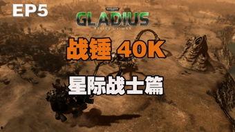 和平战士在线观看,在线观看，探寻和平与战争的深刻对话