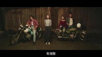 乘风破浪电影在线观看,穿越时光的青春冒险之旅