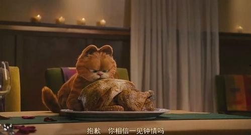加菲猫2在线观看,欢乐再续，萌宠冒险新篇章