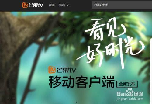 芒果卫视直播在线观看,精彩瞬间，一键尽享