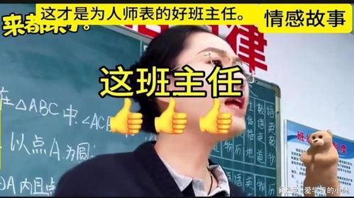 为人师表在线观看,揭秘教育界的光辉与挑战