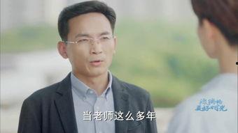 为人师表在线观看,揭秘教育界的光辉与挑战
