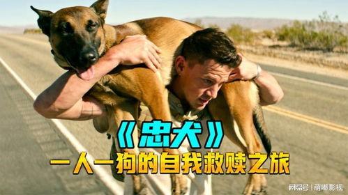 狗狗影视在线观看,在线观看，欢乐无限