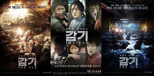 韩国电影流感在线观看,生死边缘的惊悚求生记