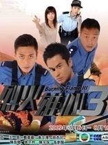 电视剧烈火在线观看,燃烧激情，守护正义的网络安全战